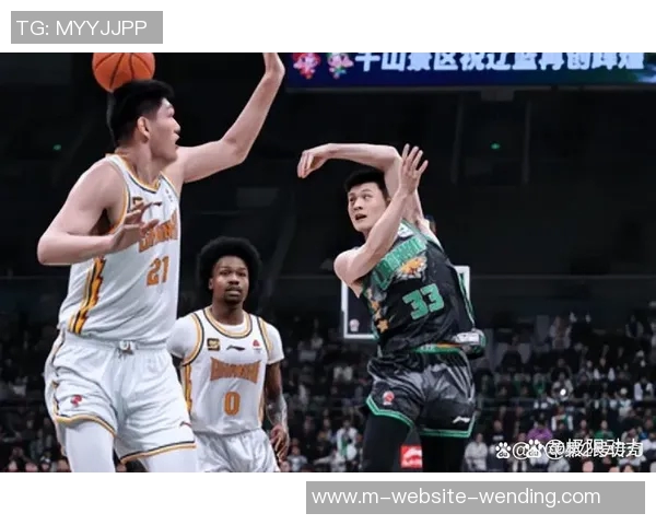 辽篮赛季回顾：内线老化与核心伤病双重打击导致王朝梦碎