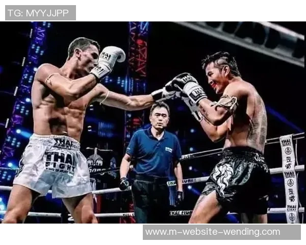 方便与雅桑克莱视频的对比分析与观众反响探讨